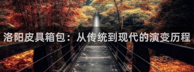 卧龙游乐娱乐设备