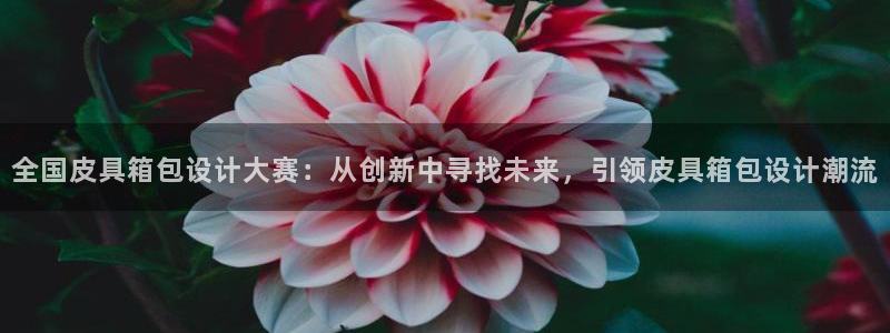 卧龙凤雏娱乐解说