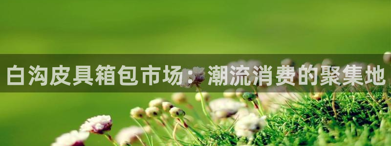 E彩娱乐 卧龙主管60447