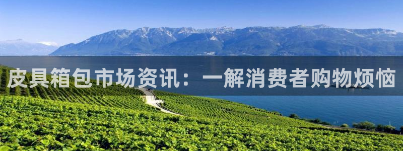 卧龙凤雏娱乐版