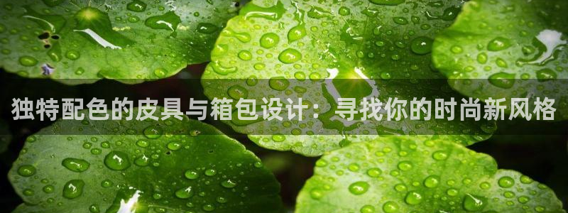 西安卧龙娱乐