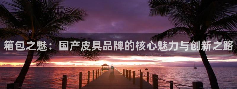 卧龙娱乐挂机软件