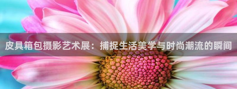 E彩娱乐 卧龙主管60447