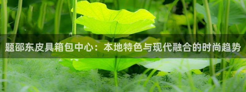 卧龙娱乐 找86555