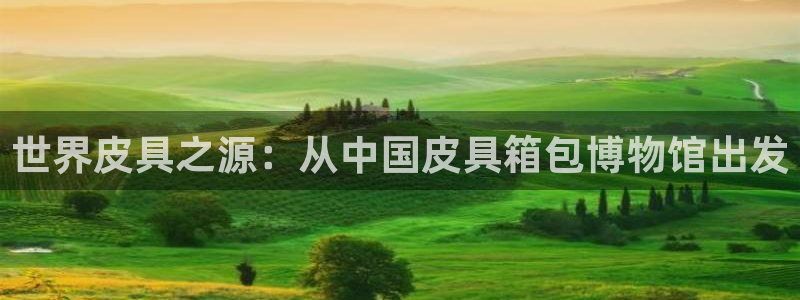 HR娱乐卧龙主管60447