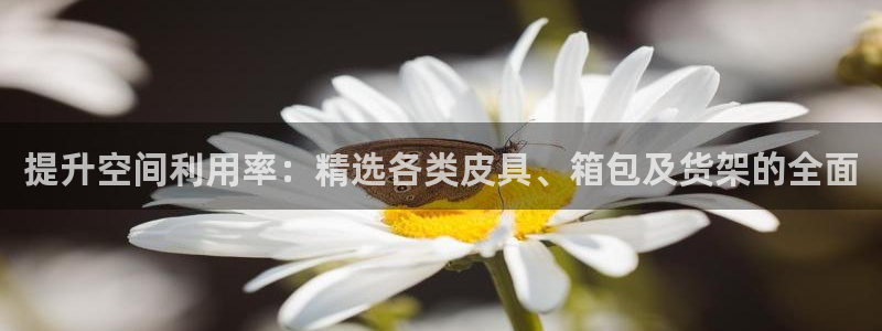 娱乐小卧龙