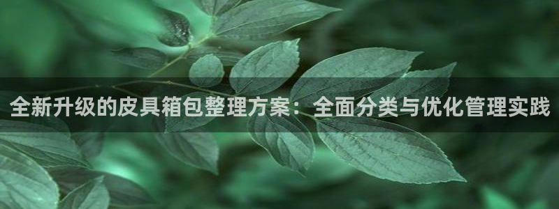卧龙娱乐集团