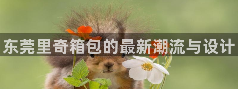 卧龙凤雏娱乐收入